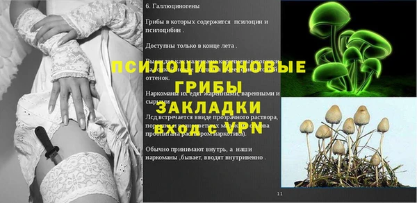 амф Алексеевка