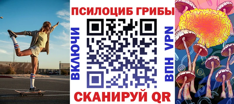 Галлюциногенные грибы Cubensis купить наркоту Исилькуль